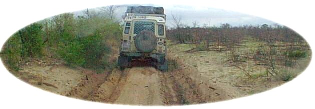 Following the 'Deil Mobile' Comet along Chobe's best road