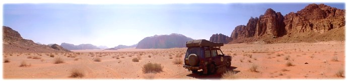 Punda inWadi Rum