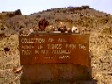 At the petrified forest 