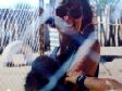 Jac finds a baby monkey that needs a cuddle