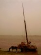 Dhows being unloaded and loaded